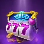 너구리벳 가입코드 완벽 가이드: 최신 정보와 활용법, 혜택, 안전하게 가입하는 방법까지 총정리